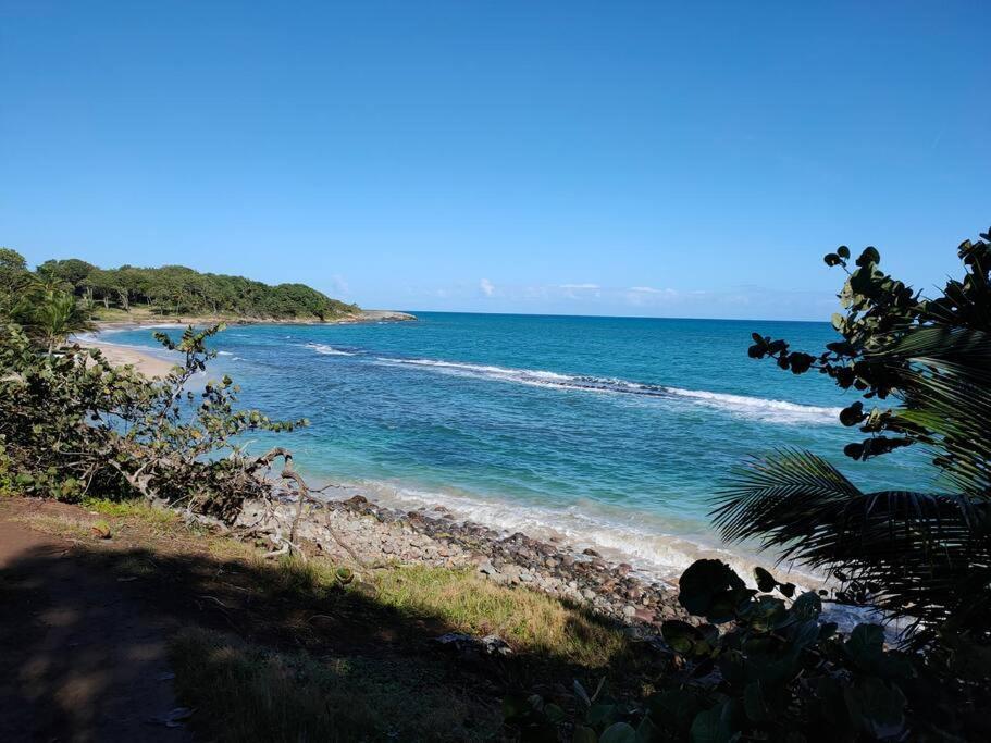 Haut De Villa Avec Vue Sur La Mer Sainte-Rose Esterno foto
