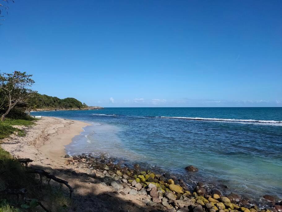 Haut De Villa Avec Vue Sur La Mer Sainte-Rose Esterno foto