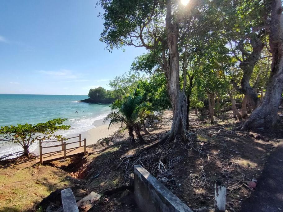 Haut De Villa Avec Vue Sur La Mer Sainte-Rose Esterno foto